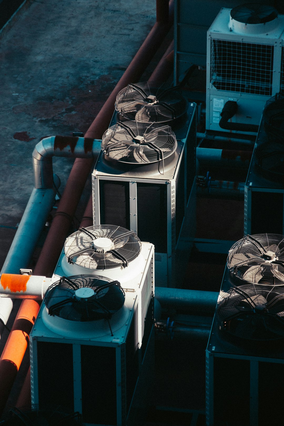 photo-1698479603408-1a66a6d9e80f.jpeg